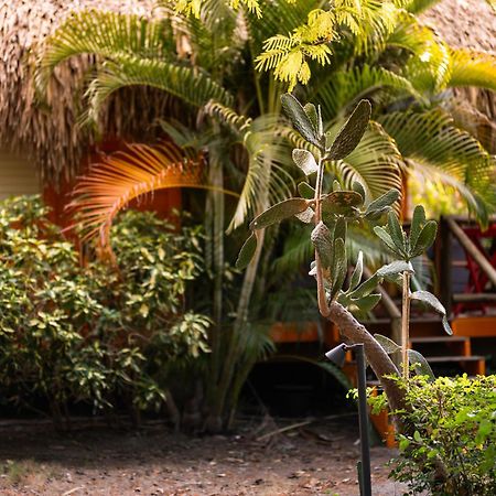 Mondi Lodge Sint Michiel Bagian luar foto