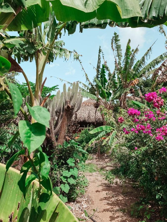 Mondi Lodge Sint Michiel Bagian luar foto