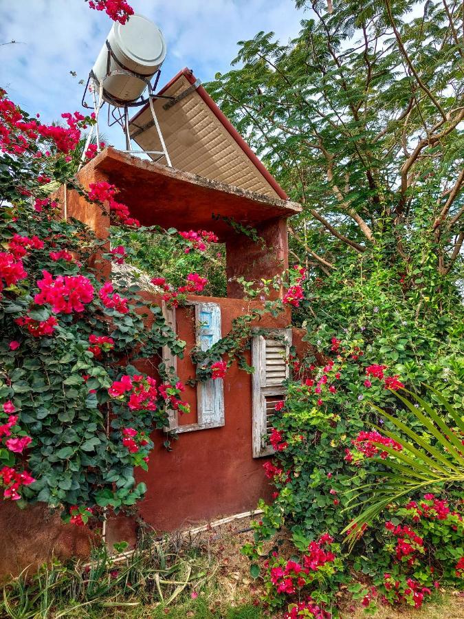Mondi Lodge Sint Michiel Bagian luar foto