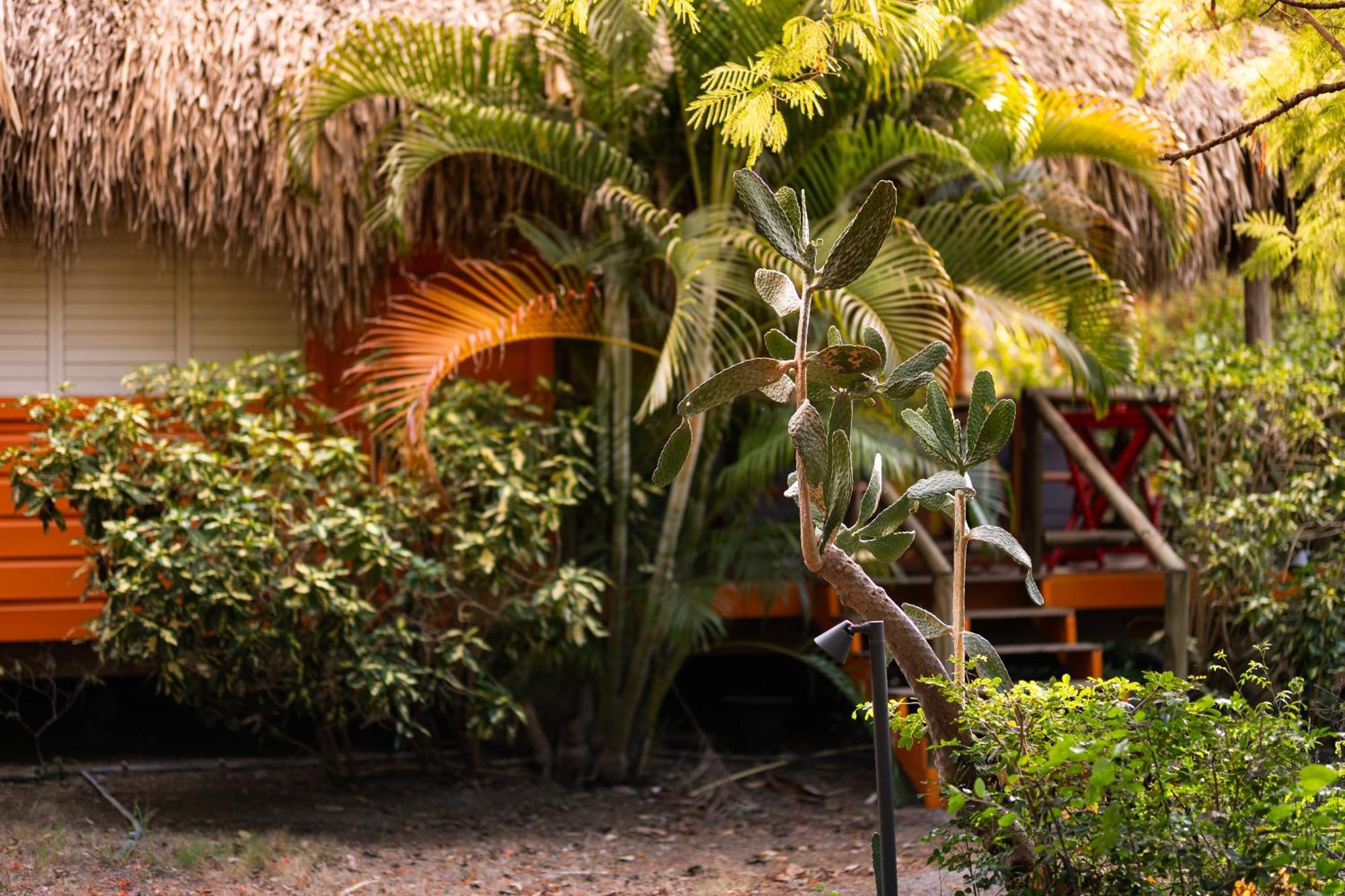 Mondi Lodge Sint Michiel Bagian luar foto