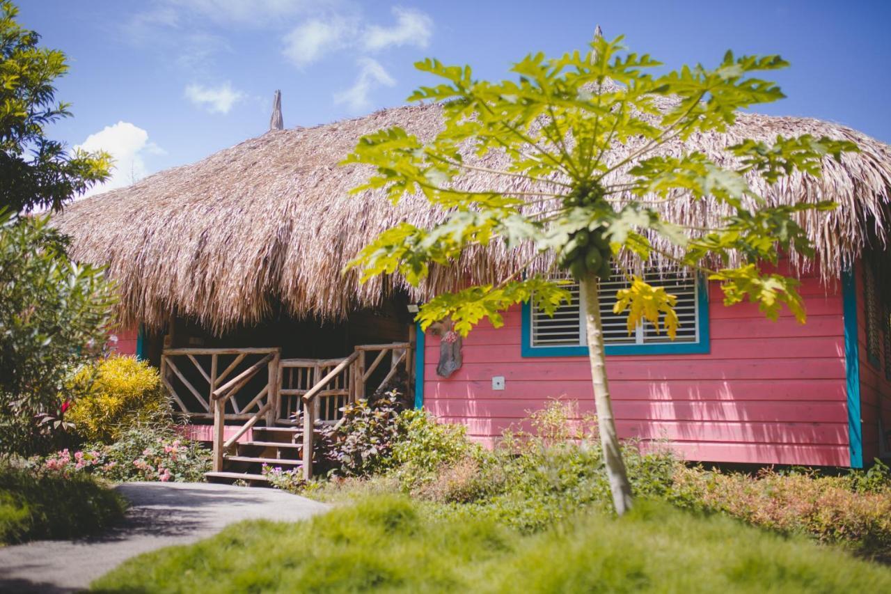 Mondi Lodge Sint Michiel Bagian luar foto